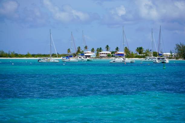 istock Blue Waters of Anegada, BVI 1398650405