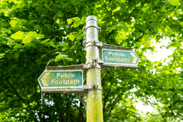 istock A pair of British Public Footpath signs seen in a dense forest area. 1398653328