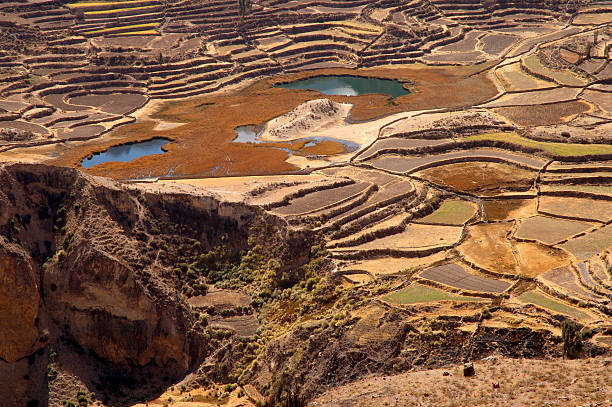 During our tour through the Colca Canyon we came across many scenic views such as this one.  The Incas apparently opted to build terraces like these instead of simpler fields because it was agriculturally more stable.  El Ninos occured from time to time and would cause flooding of more typical fields.  Terraces, however, were immune.
