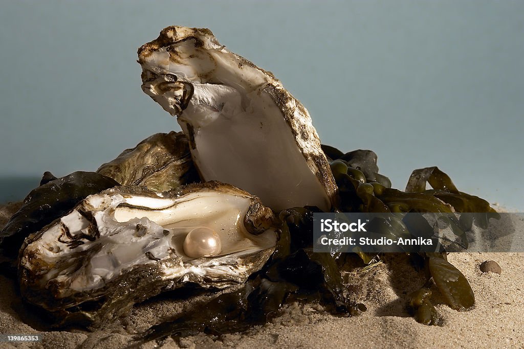 Treasure Pearl in oyster on beach, against a blue sky background Oyster Pearl Stock Photo