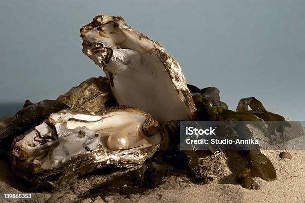 Treasure Stock Photo - Download Image Now - Oyster Pearl, Pearl Jewelry, Oyster
