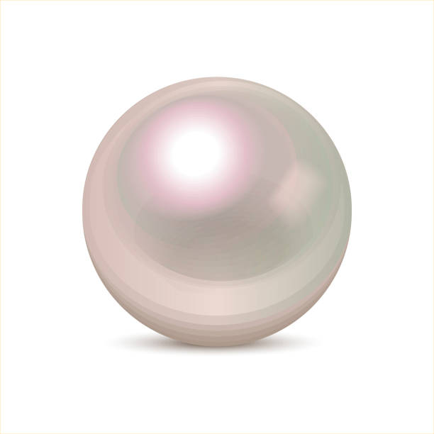 illustrations, cliparts, dessins animés et icônes de perle blanche brillante isolée sur fond blanc. perle de luxe en nacre. élément de design festif.  boule vectorielle avec ombre. - mother of pearl