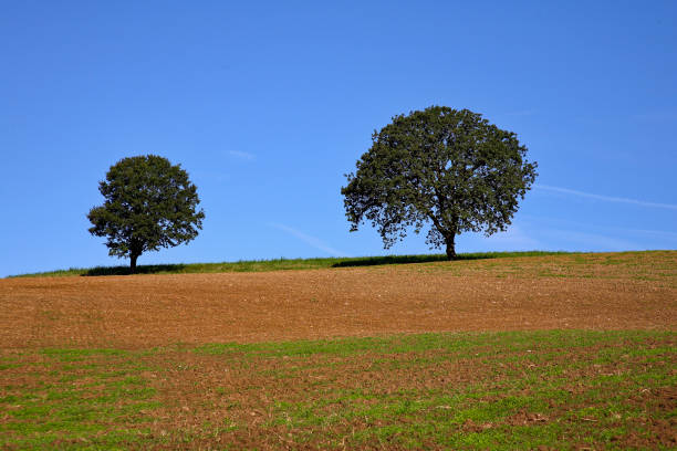 istock Modena Apennines, typical hilly landscapes 1398654198