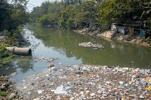 Kolkata, 02-19-2022: Pile of garbage including dead animal floating in stagnant water of a sewage canal near Ruby More. Rampant throwing of garbage in canal have gradually blocked the flow of water.