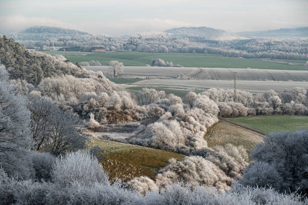 Frosted winter landscape near Golmbach, Weser Uplands