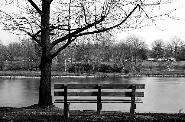 A park bench and a tree over looking a frozen pond waiting for spring.