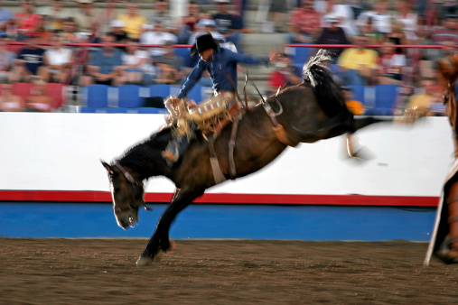 A young rodeo rider braces a horse pushing forward during a rodeo inside an arena on a sunny day.