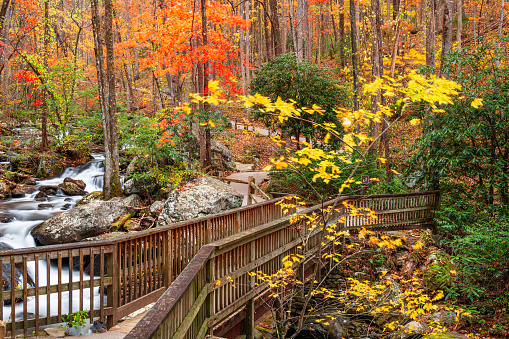 Bridge to Anna Ruby Falls, Georgia, USA in autumn.