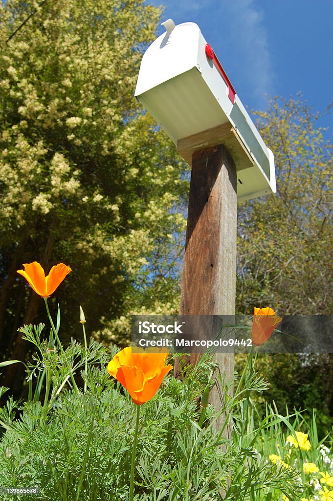 Briefkasten im Frühling - Lizenzfrei Blume Stock-Foto