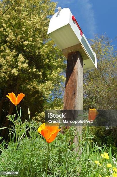 Briefkasten Im Frühling Stockfoto und mehr Bilder von Blume - Blume, Briefkasten, Blau