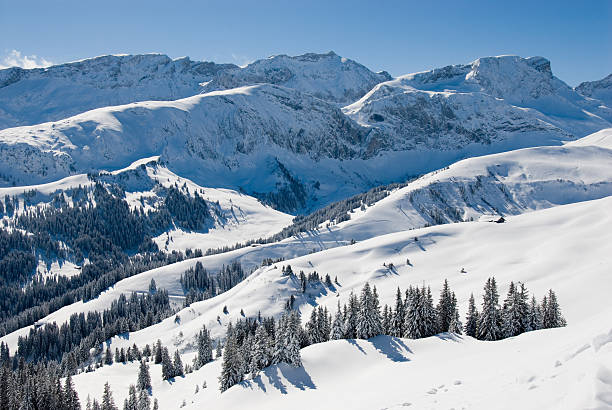 Winter Landscape stock photo