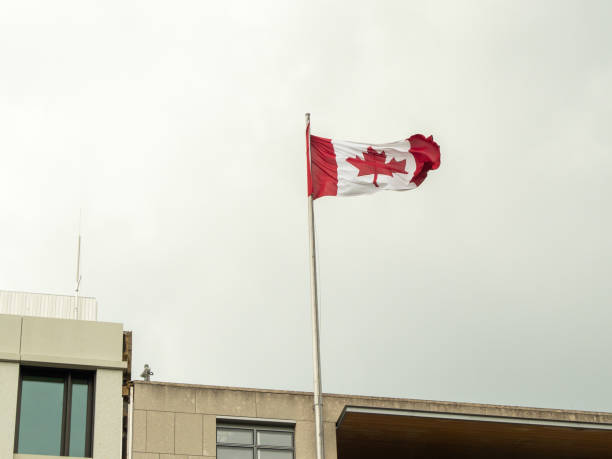 istock Canada flag on the building. Flag of Canada. 1398659590