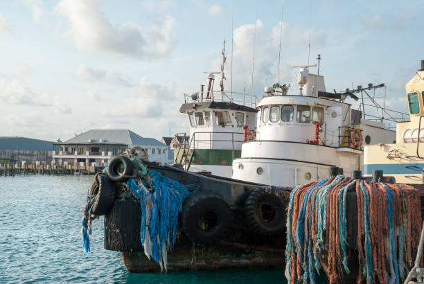 istock Nassau Port Tugboats Close View 1398659717