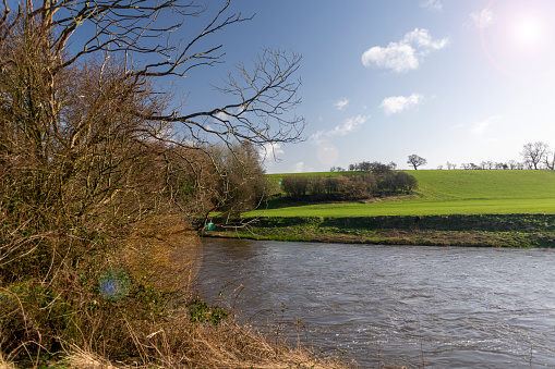 View from the banks of the River Ribble flowing through the Ribble Valley near Clitheroe in Lancashire, England.