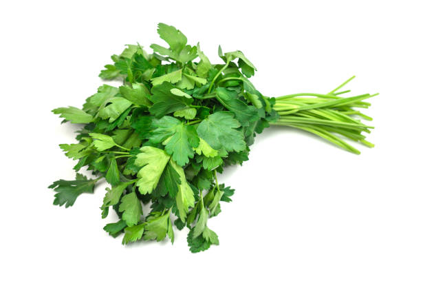 istock A bunch of parsley isolated on white background. 1398661124