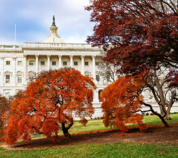 istock Autumn trees on the Washington DC capital grounds 1398663172