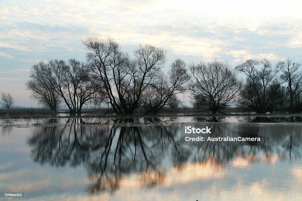 Havel - Foto stock royalty-free di Acqua