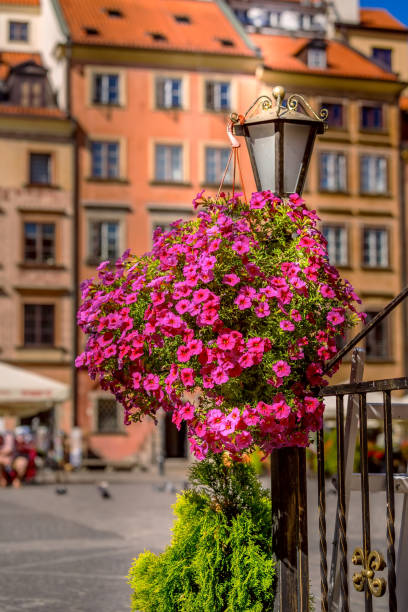 istock Flowers Warsaw, Market square 1398663802