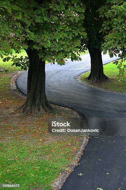 Weg Im Park Stockfoto und mehr Bilder von Abmachung - Abmachung, Asphalt, Baum