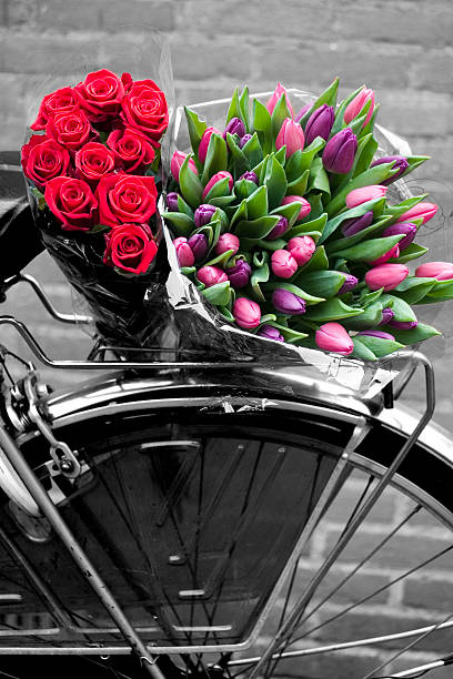 istock Flowers and bike 139866559