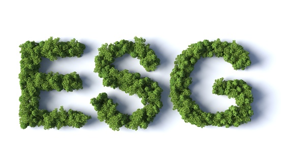 3d Forest letters ESG on white background