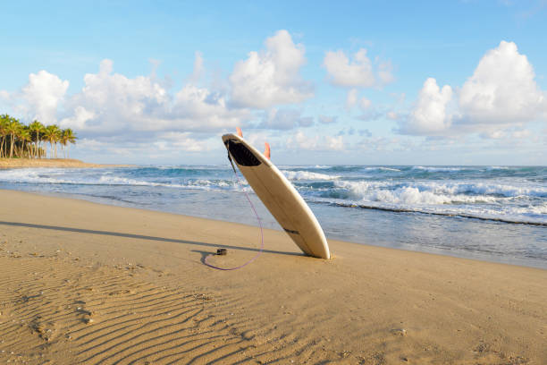 istock Surfboard in sand on tropical surf beach. Dominican Republic. 1398668451