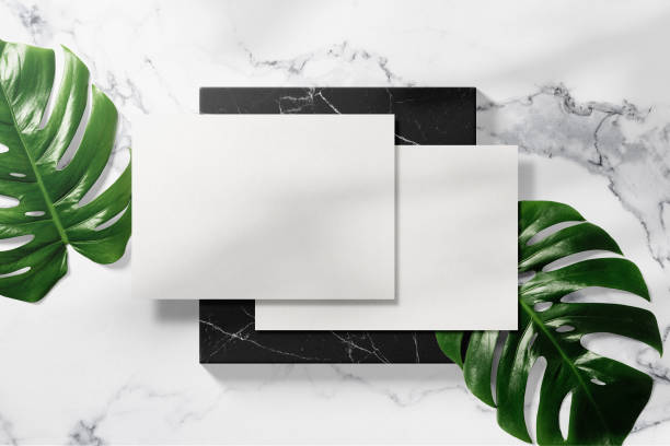istock Clean minimal A5 flyer mockup on box plate with leaves 1398672729