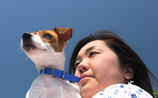 lady and dog stock photo