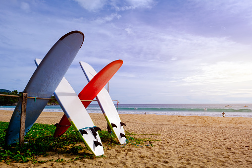 Surfboards available for rent on the beach. Phuket, Thailand.