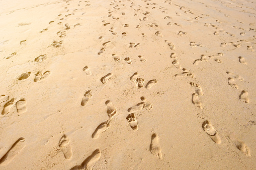 Many footprints on sandy beach background.