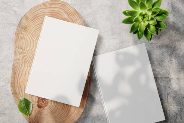 istock Clean minimal book 4x6 mockup on cement with plant and leaf 1398673012