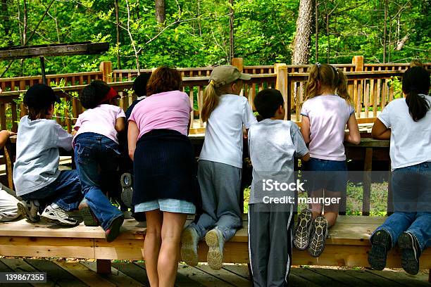 Studenten Beobachten Stockfoto und mehr Bilder von Exkursion - Exkursion, Kindergartengebäude, Kind