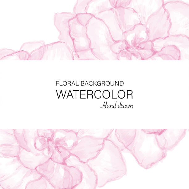 Floral watercolor background. Vector Hand drawn delicate watercolor floral background. Vector file with separately grouped objects. Design for invitation card, flyer, merchandise etc. The white strip can easily removed. pink flower frame stock illustrations