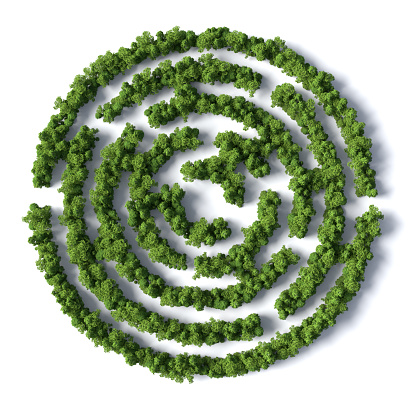 3d forest maze on white background with clipping path
