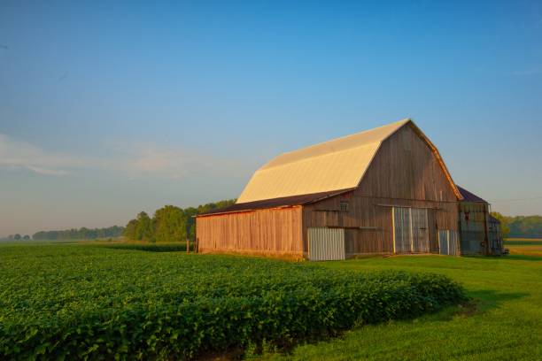 istock Old Weathered Barn-Howard County,Indiana 1398684055