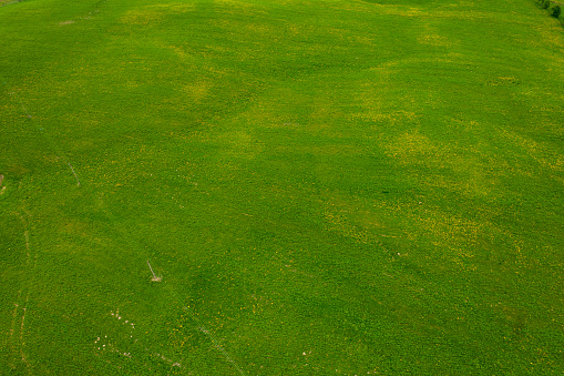 Rural landscape, drone view. Green fields in the north of Poland. Suwalki region in springtime.