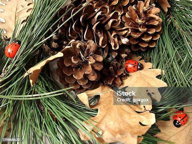 Pine Und Ladybirds Arrangement Stockfoto und mehr Bilder von Marienkäfer - Marienkäfer, Abstrakt, Ast - Pflanzenbestandteil