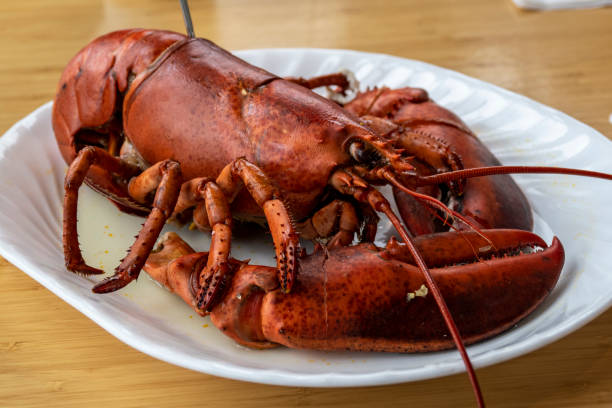 istock Halls Harbour in Nova Scotia 1398686258