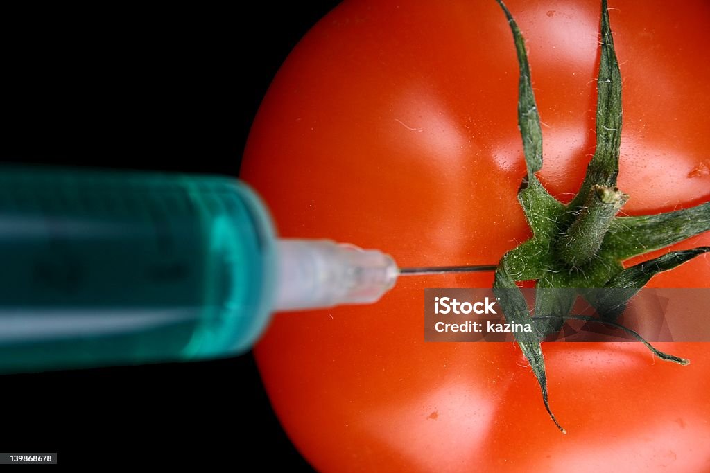 Getetic Modyfication tomate - Foto de stock de Inyectar libre de derechos