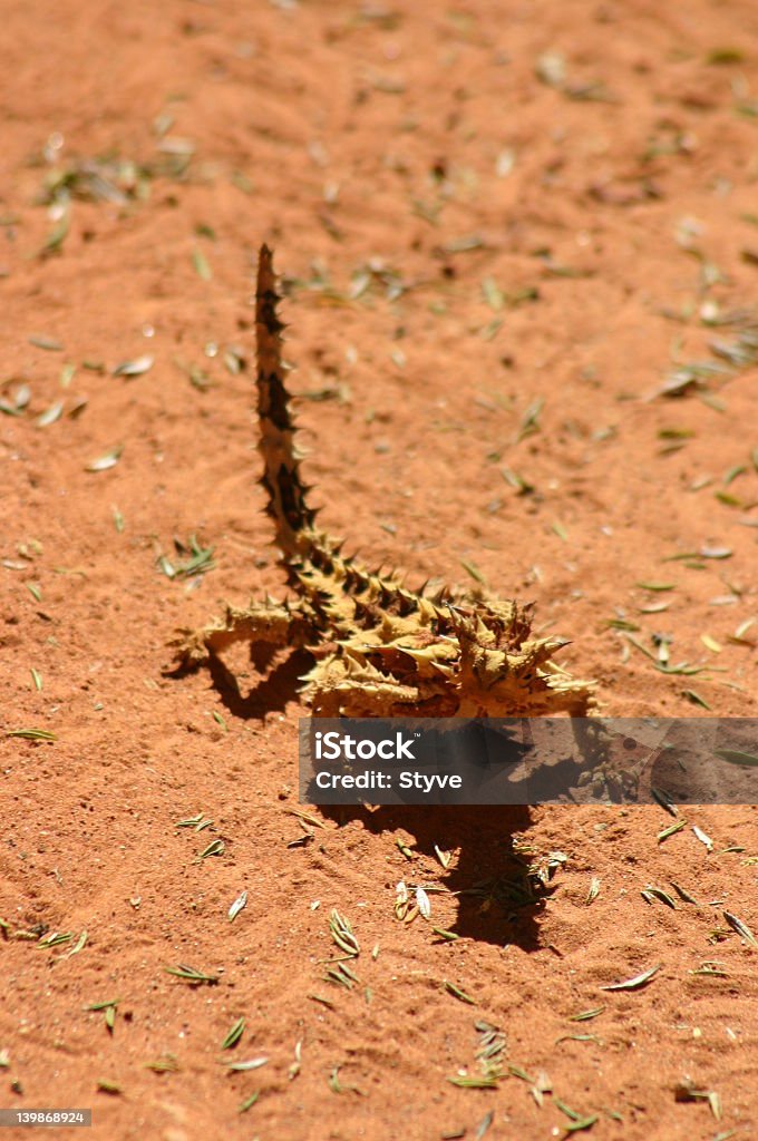 australia - Foto de stock de Roca de Ayers libre de derechos