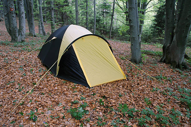 Tent stock photo