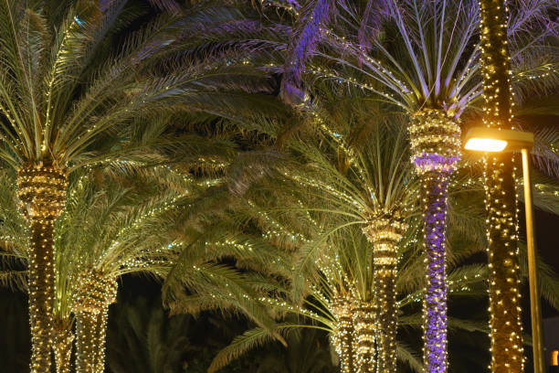 istock Silhouettes of palm trees wrapped with white lights. 1398691414