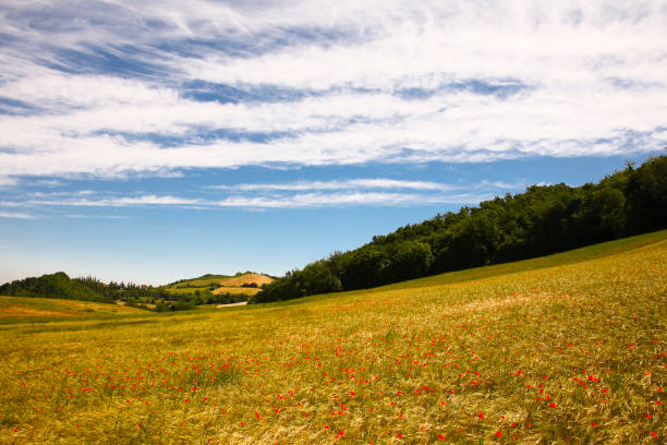Paesaggi e vedute dell'Appennino parmense. Provincia di Parma, Emilia Romagna. Italia stock photo