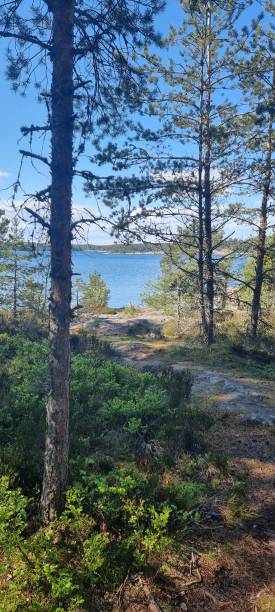 istock Baltic sea from Stockholm, Sweden 1398694744