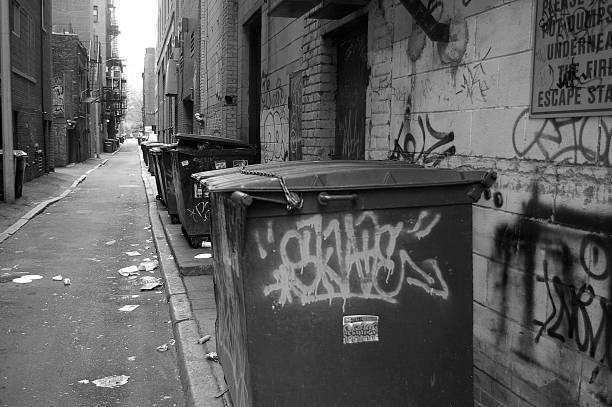 istock dirty alleyway 139869490