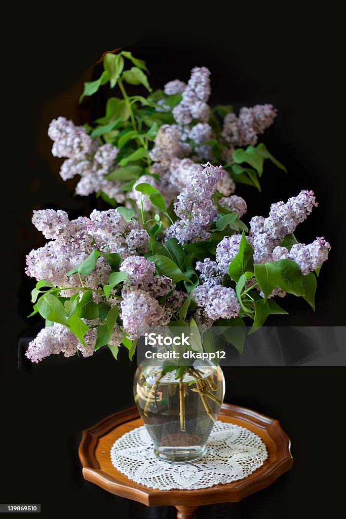 Ramo de Lilacs resorte - Foto de stock de Croché libre de derechos
