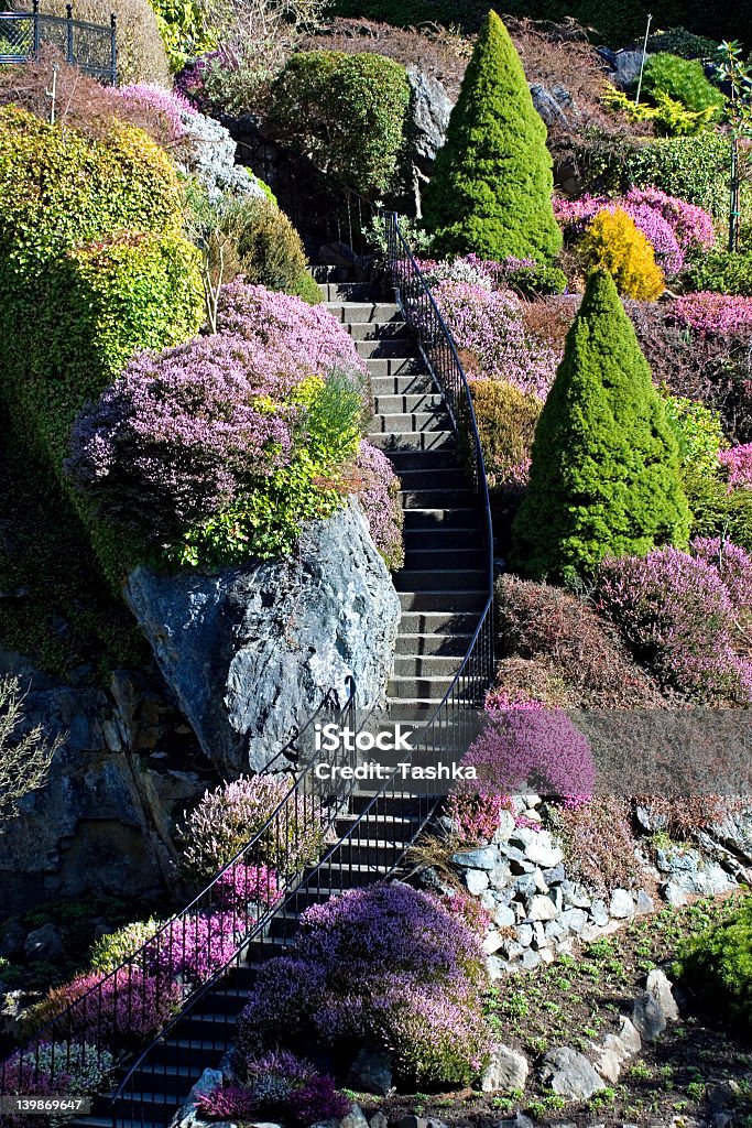 Colorful landscaped staircase at Butchart Gardens Landmark attraction in Victoria, British Columbia Butchart Gardens Stock Photo