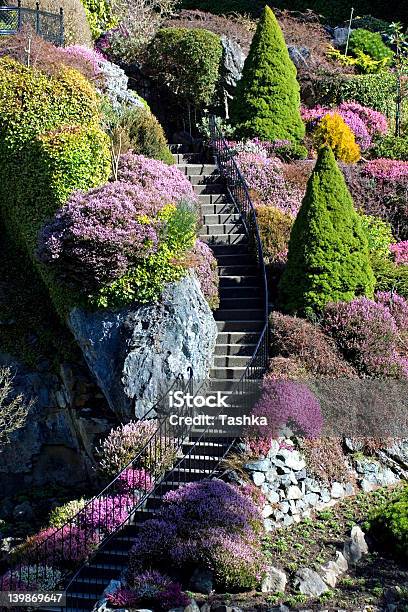 Colorful Landscaped Staircase At Butchart Gardens Stock Photo - Download Image Now - Butchart Gardens, Victoria - Canada, Canada