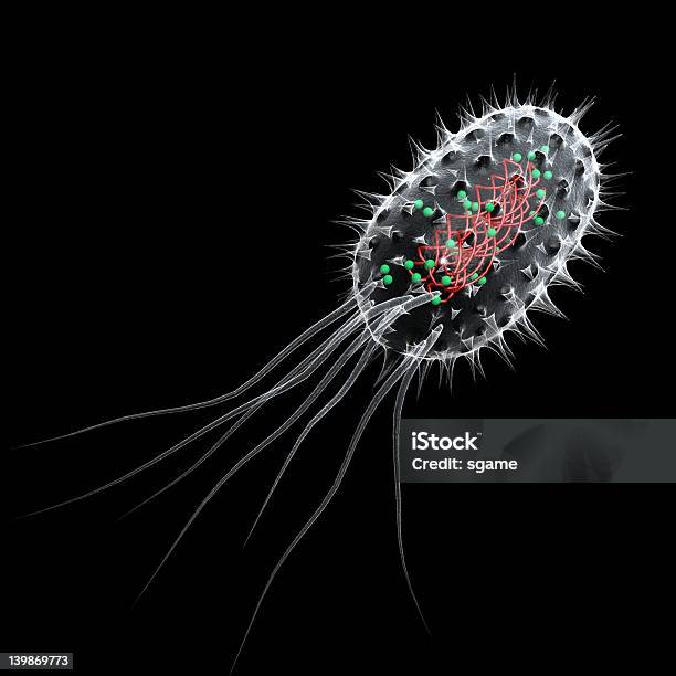 バクテリア - サルモネラ菌のストックフォトや画像を多数ご用意 - サルモネラ菌, マクロ撮影, アイデア