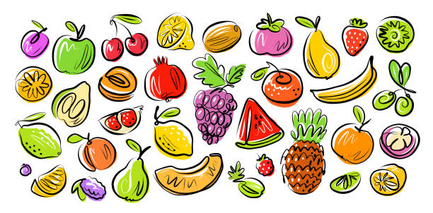 zestaw owoców i jagód narysowany w stylu doodle. ilustracja wektorowa żywności ekologicznej - strawberry mangosteen agriculture banana stock illustrations